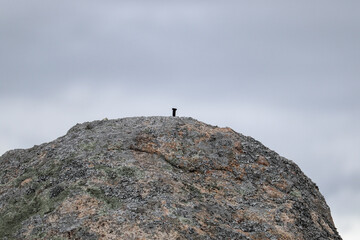 rock in the mountains