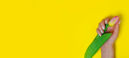 Fototapeta premium Female manicure on a bright background. Yellow
