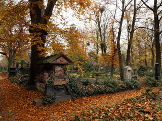 Old Historic Jewish Cemetery from 19th century in Wroclaw, Breslau, Poland during golden autumn, orange and yellow leaves, old graves with german and hebrew names - The museum of cemetery art