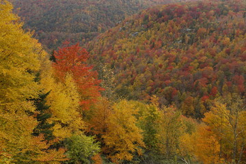 Paisaje otoñal Octubre WV USA
