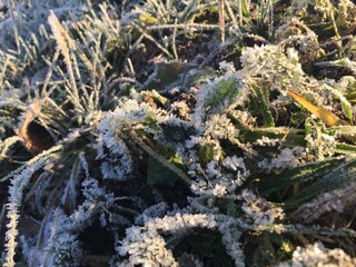 even the most fragile crystals can hurt...