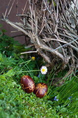 Dyed traditional easter eggs in the fresh spring grass