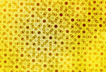 Light Yellow vector background with bubbles.
