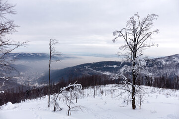 Winter panorama in the mountains after the first snowfall, view from the top. Valley covered with fog. Beskidy Mountains, Poland