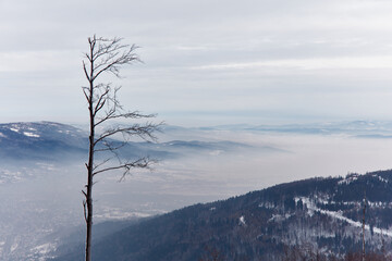 Winter panorama in the mountains after the first snowfall, view from the top. Valley covered with fog. Beskidy Mountains, Poland