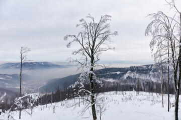 Winter panorama in the mountains after the first snowfall, view from the top. Valley covered with fog. Beskidy Mountains, Poland