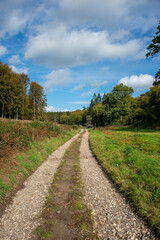 Fototapeta na wymiar farm track in the Englisg countryside. Logging track
