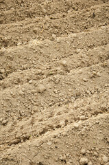 Texture of a plowed field