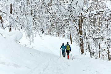 Two tourists with a backpack and poles walking on a winter trail in the mountains. The trail is surrounded by snow-covered trees. Rear view