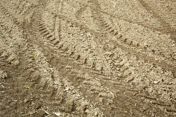 Texture of a plowed field with tractor tracks