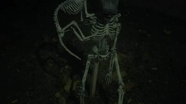 A Halloween skeleton with a skeleton cat sitting on his shoulder