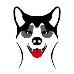 husky face