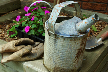 Ancient Watering Can on planter with gloves and trowel