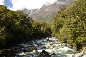 Mountain river close to Milford Sound