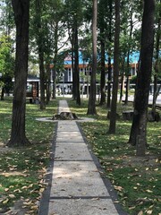 Naklejka premium path in the park