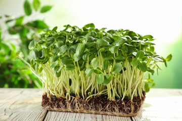 Naklejka premium Fresh organic microgreen on white wooden table, closeup