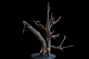 decorative creative and artistic materials made from dead branches