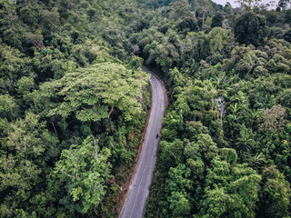 Top view of a straight road asphalt paved long road in a dense forest, along which a car is riding