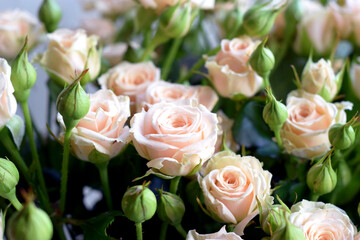 Beautiful bouquet of delicate pink roses. Concept Mother's Day, Family Day, Valentine's Day.