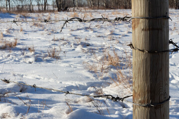 Barbed wire on fence post with snow
