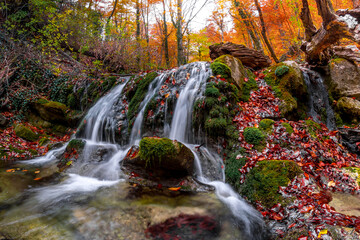 Waterfall in the forest