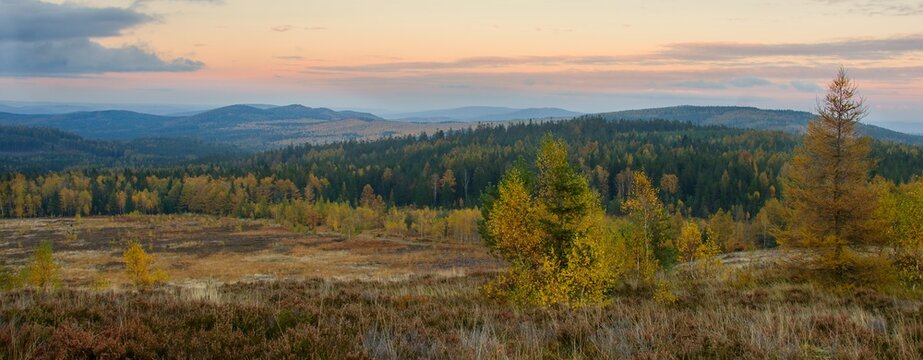 View from the top of Houp&aacute;k with large heath lands, target impact area Jord&aacute;n in former military area, PLA Brdy (CHKO Brdy), photographed at blue hour after sunset, in autumn color