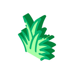 tropical bush icon vector. isometric tropical bush sign. color isolated symbol illustration