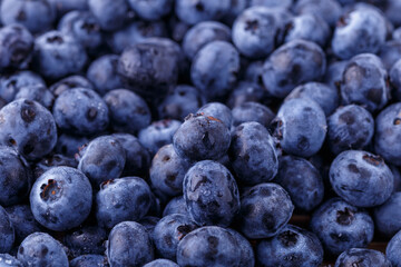 Fresh blueberries background with copy space for your text. Vegan and vegetarian concept. Macro texture of blueberry berries.Texture blueberry berries close up
