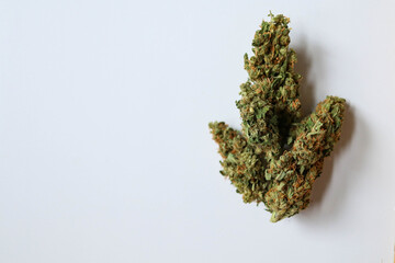 Medical marijuana flower buds placed on a white