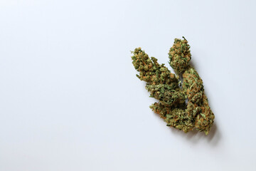 Medical marijuana flower buds placed on a white