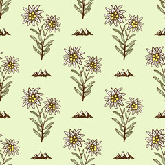 edelweiss flower alpine icon seamless background tile pattern - 397902195
