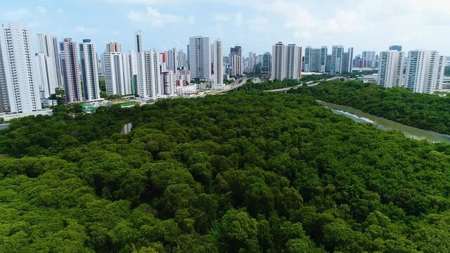 Recife, Pernambuco, Boa Viagem,  parque dos manguezais, Mangrove Park