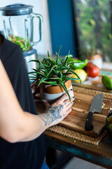Mujer cogiendo maceta en cocina moderna. Chica con tatuaje junto a bonita planta verde.