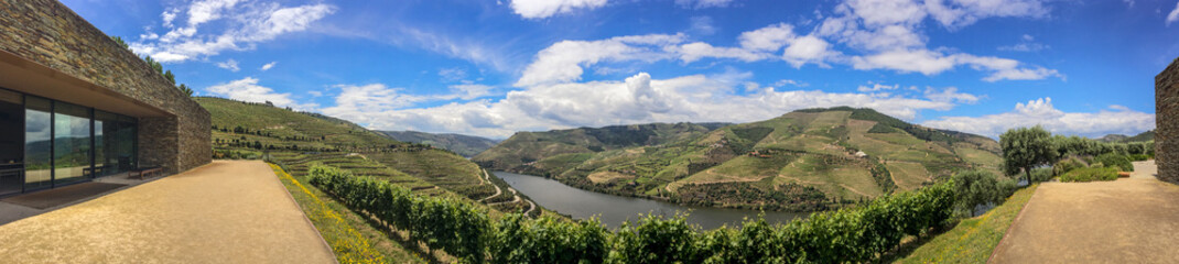 Panoramic view over the Douro Region Vineyards Landscape, With the River at Foreground