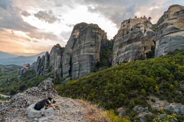 Stray dog sleeping in a stone cradle bed at the bottom of Meteora rocks in Greece 