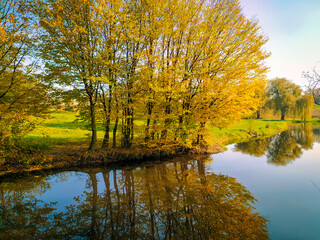 autumn trees reflected in water