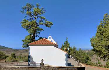 Pino y ermita de la Virgen del Pino, El Paso, La Palma