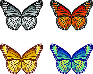 Fototapeta na wymiar Set of Butterflies