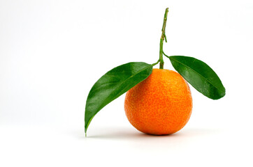 Extra sweet and juicy Spanish clementine with leaves. Isolated on white.