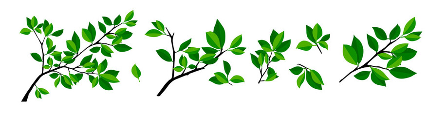 Summer tree branch with fresh green leaves. Vector illustration
