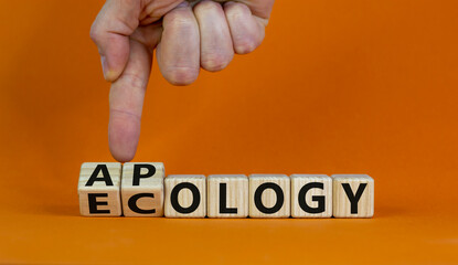 Apology to ecology symbol. Hand turns cubes and changes word 'ecollgy' to 'apology'. Beautiful orange background, copy space. Business and apology to ecology concept.