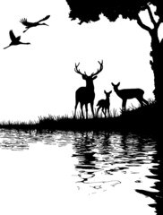 background of deer in the forest