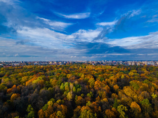 Road bend in the autumn falling golden trees background and city panorama