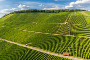 Panorama &uuml;ber Weinberge, Weinanbau, gr&uuml;ne Felder in Baden W&uuml;rttemberg in Deutschland