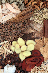 Chinese herbs for cold and flu virus remedy and prevention used in traditional herbal medicine. Used to treat fever, lung disease and coughs. Holistic health care. High in vitamin c and antioxidants.