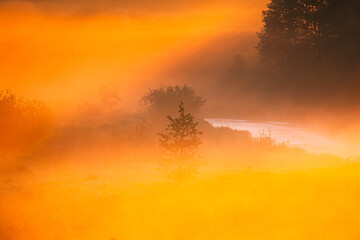 Amazing Sunrise Light Above Misty Landscape. Scenic View Of Foggy Morning In Misty Forest Park Woods. Summer Nature Of Eastern Europe. Sunset Dramatic Sunray Light Sunbeam