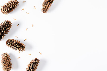Christmas, winter composition. Pine cone on white background.  Flat lay, top view, copy space