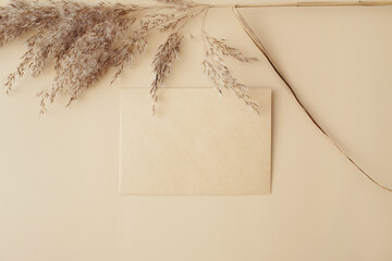 Creative layout made of dry pampas grass reeds agains and paper card note on beige background. Minimal, stylish, trend concept. Flat lay, top view, copy space. Trend color 2021