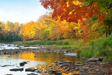 River with rocks near trees in fall color in northern Michigan