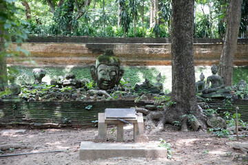 チェンマイの洞窟寺（トンネル寺）ワット・ウモーンの仏頭
